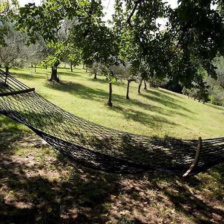 Spacious In Casa vacanze Brisighella