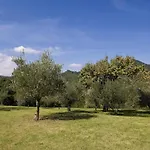 Spacious In * בריזיגלה