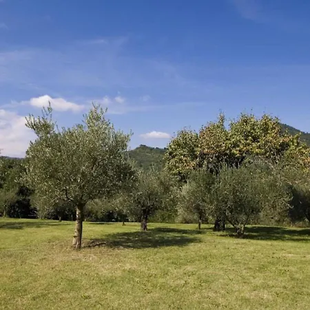 Spacious In * Brisighella