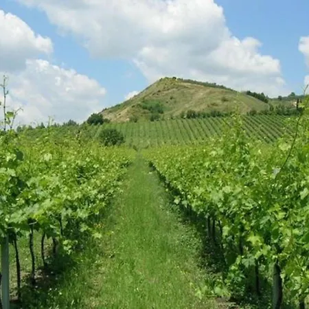 Spacious In Prázdninový dům Brisighella