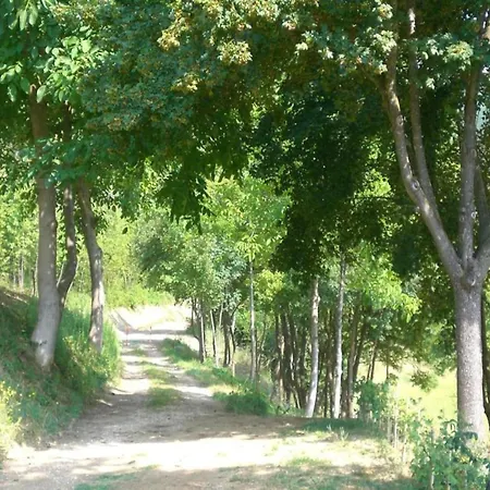 別荘 Spacious In *