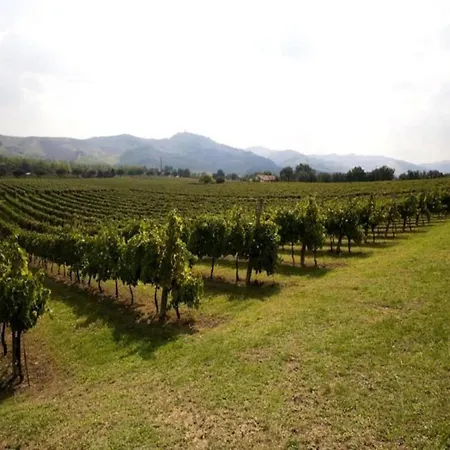 Spacious In Бризигелла