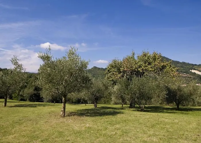 Spacious In * Бризигелла