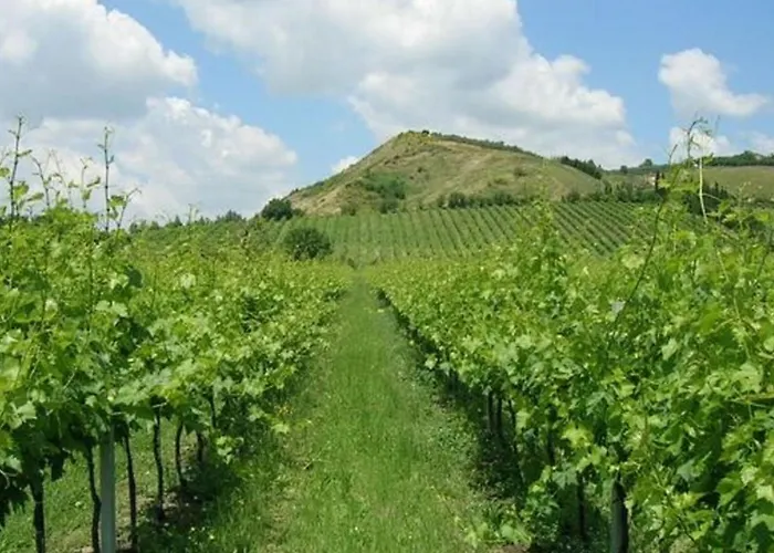 Spacious In Dom wakacyjny Brisighella
