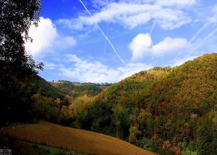 Spacious In * ブリジゲッラ