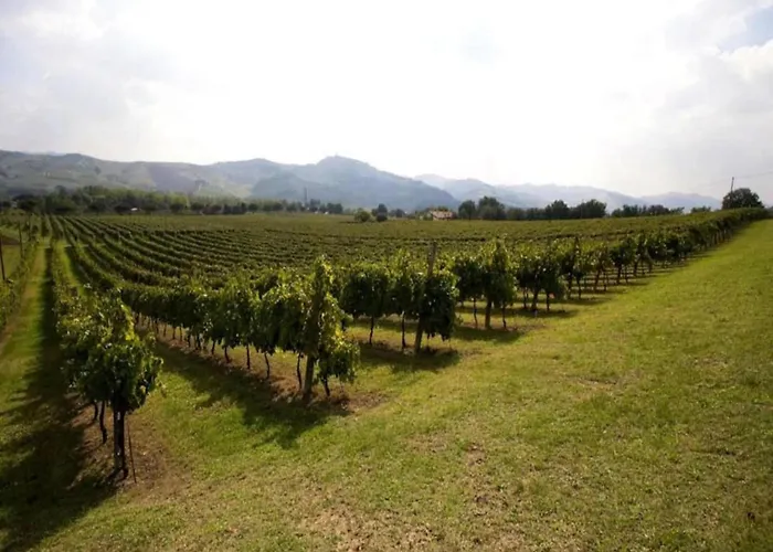 Spacious In Бризигелла